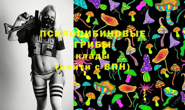 стафф Алексин