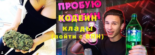 стафф Алексин