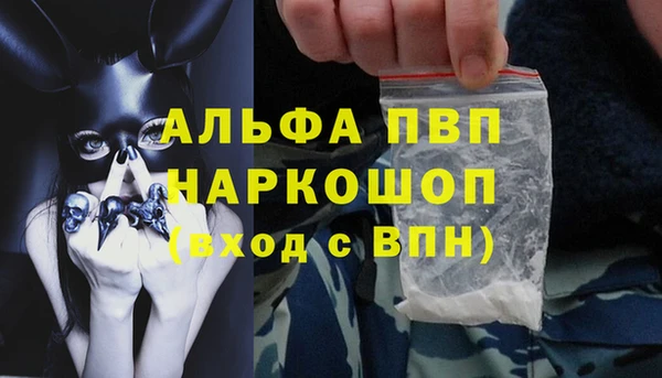 стафф Алексин