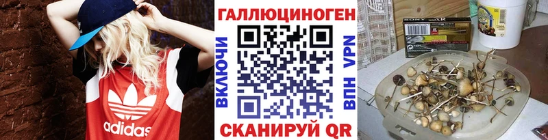 купить закладку Макушино mega ТОР Галлюциногенные грибы MAGIC MUSHROOMS